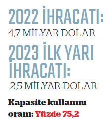 İhracatçının ikinci yarı sınavı zor geçecek - Resim : 7