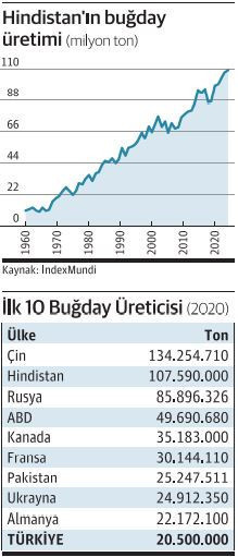 Türkiye, buğday için Hindistan'ın kapısını çalıyor - Resim : 1