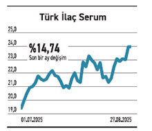 Sığ hisseler hareketli Endeksi 23’e katladı - Resim : 5