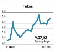 6 kriterde büyüyen o şirket endekste %6,8 ağırlığa sahip - Resim : 4