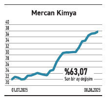 Kazandıran fonlarda hisse yoğunluğu önde - Resim : 5
