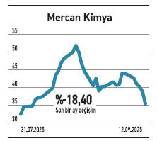Hizmet alanındaki 8 şirket aktifini 2 kattan fazla artırdı - Resim : 4
