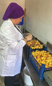 Merzifonlu kadınlar girişimcilikleri ile örnek oldu - Resim : 3