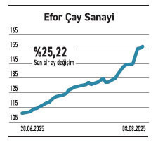 Kazandıran fonlarda hisse yoğunluğu önde - Resim : 6