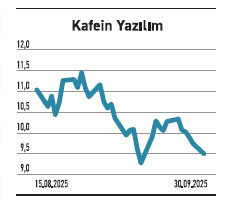 Temettüsü verimli olan %30 olmayan ise %223 yükseldi - Resim : 4