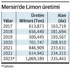 Narenciyede üretici “satamıyorum”, tüketici “alamıyorum” diyor  - Resim : 1