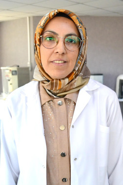 BAM, nohuttan vegan peynir üretti - Resim : 1