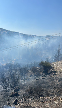 Türkiye'nin dört bir yanında yangın çıktı! İşte dakika dakika yaşananlar - Resim : 8