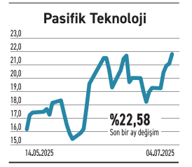 Piyasa değeri yüksek ama iskontolu işlem görüyorlar - Resim : 6