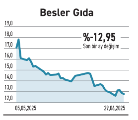 Getirisi yüzde 1390 olan var ilgi ise yüzbinlere geriledi - Resim : 6