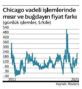 Buğday fark atıyor, mısır talebi artıyor - Resim : 1