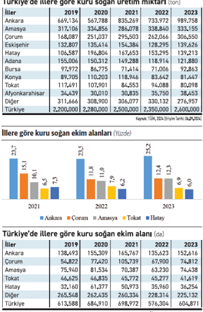 Planlama kapsamındaki kuru soğanda fiyat sorunu - Resim : 1
