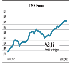 Küçük ölçekli fonlarda getiriler borsayı katladı - Resim : 3