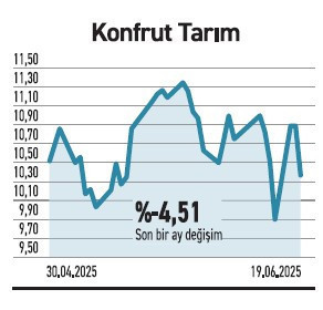 Borsada büyük holdingler defter değerinin yarısında - Resim : 4