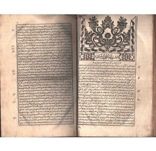 Fiyatı 40.8 gram altının değeri kadar olan sözlüğün öyküsü - Resim : 1