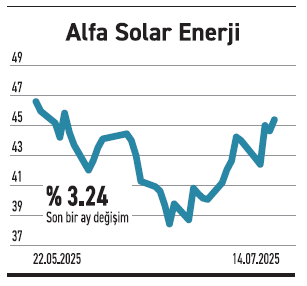 Hizmet sektörü hisselerinde güldüren de var ağlatan da - Resim : 6