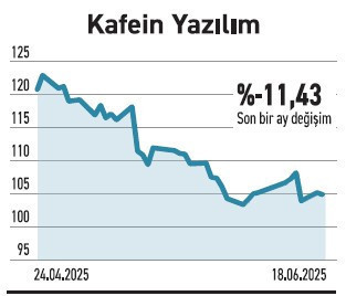 İhracat yapan şirketlerde küçükler pozitif ayrıştı - Resim : 6