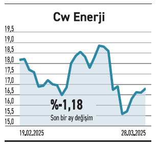 Altına hücum mu, Trump’tan kaçış mı? - Resim : 5