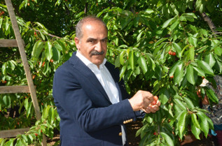 Kuru kayısıda yeni sezon hedefi 100 bin ton ihracat - Resim : 1