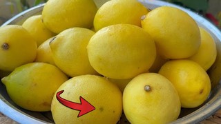Limonun foşur foşur sulanmasını sağlıyor ; Aşçılar tarafından gizlenen teknik