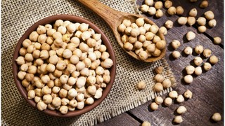 Bitki bazlı proteinin kaynağı ODTÜ olacak