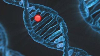 Bazıları doğuştan zengin oluyor: Genetik, ekonomiyle bağlantılı çıktı