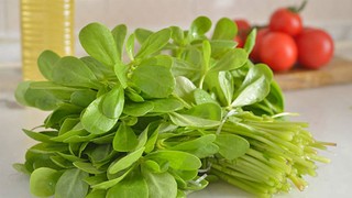 Her derde deva! Vitamin deposu semizotunun faydaları nelerdir? Semizotu neye iyi gelir?