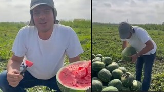 Adanalı üretici en iyi karpuz nasıl seçilir püf noktasını anlattı; ikiye ayrılıyor, bal gibi oluyor
