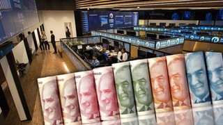 13 TL temettü ödemesi yarın (28 Mayıs) hesaplara geçiyor * Hesapta 1 lot olması yetecek!