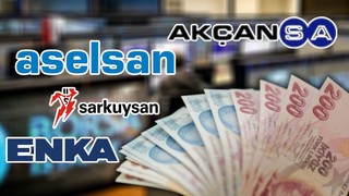 Temettü emekliliği getirecek hisseler * 2025 yılında yüzlerce şirket temettü dağıtıyor.