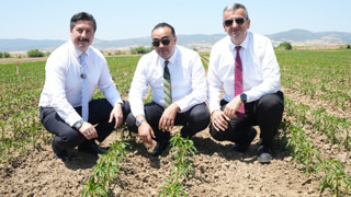Yenişehir, tarım ile Libya’ya açılacak