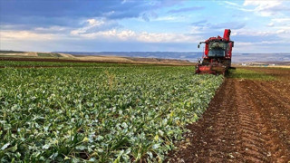Tarım arazisi olanları ilgilendiriyor! 2 yıl ekilmeyen tarlalar kiraya verilecek