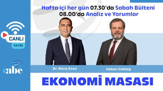 "Yaşayan İnsan Hazinesi" ödüllü Barutçugil'in hayali ebru müzesi