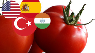 Domates üretimi en yüksek 10 ülke açıklandı! Türkiye, ABD'yi geride bıraktı