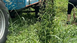 Baba mesleğini bıraktı hayatı değişti! Yılın her günü bahçeden verim alıyor