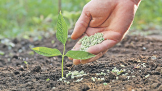 Avrupa’da gübre sıkıntısı büyüdü