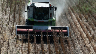 Tarımda enerji verimliliğine 209 milyon lira hibe