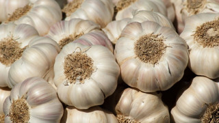 1 diş Taşköprü sarımsağı 3 lira, Araban sarımsağı 1,5 lira