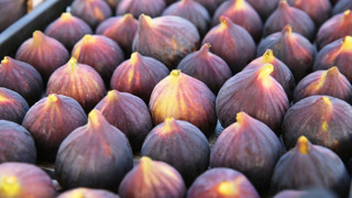 UYMSİB Başkanı Prof. Dr. Yazgan: “Pazarı rakiplere kaptırma riskiyle karşı karşıyayız”