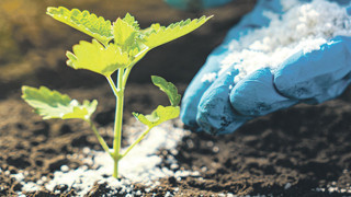 Gübre piyasası zorda, fiyat artıyor talep düşüyor