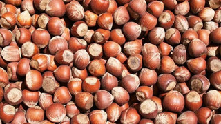 7 ayda 1,62 milyar dolarlık fındık ve mamulleri ihraç edildi