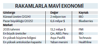 Yaban mersini: Sağlığın, tarımın ve yatırımın yeni odağı - Resim : 1