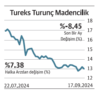 Büyük halka arzlar bekleneni vermedi - Resim : 5