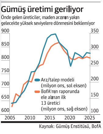‘Gri yatırım’ 2024’ün favorisi - Resim : 2