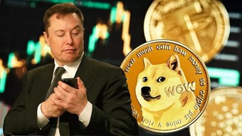 Elon Musk'ın yönettiği DOGE'nin, Hazine Bakanlığı verilerine erişim sağladığı iddiası