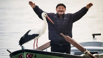 Gelenek bu yıl da bozulmadı: Yaren leylek yuvasına geldi