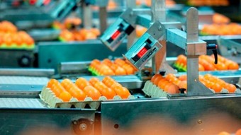 Yumurta kralından dev hamle! ABD’li rakibini satın alıyor