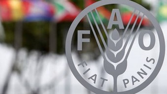 Dünyada gıda fiyatları değişmedi