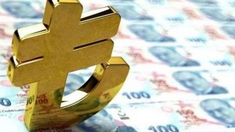 Alman bankadan Türk lirası için 'kötümser' tahmin
