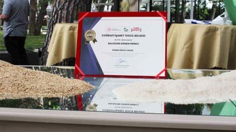 Gönen Baldo Pirinci coğrafi işaret tescili aldı